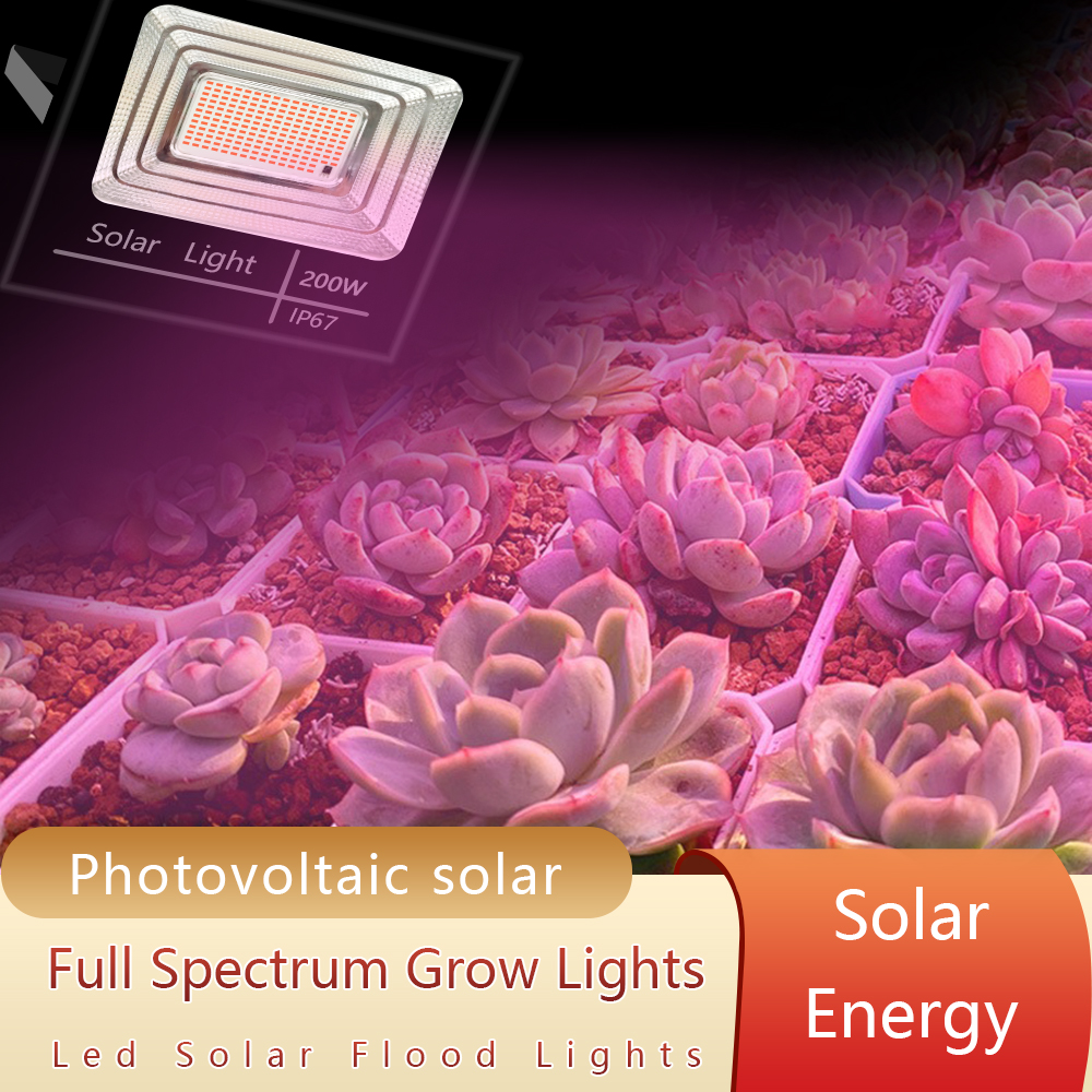 LED Full Spectrum Phyto Lamp 2 - Power Outage Light avis et prix